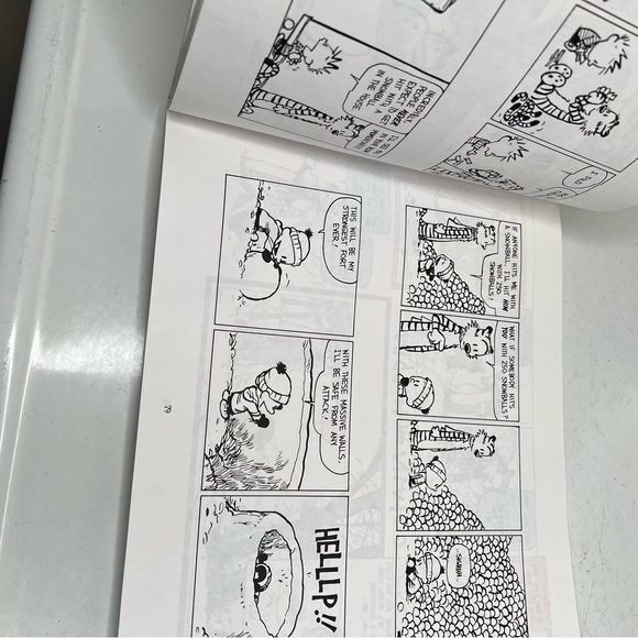 Calvin and Hobbes Collection & The Far Side Gallery paperback - Picture 14 of 16